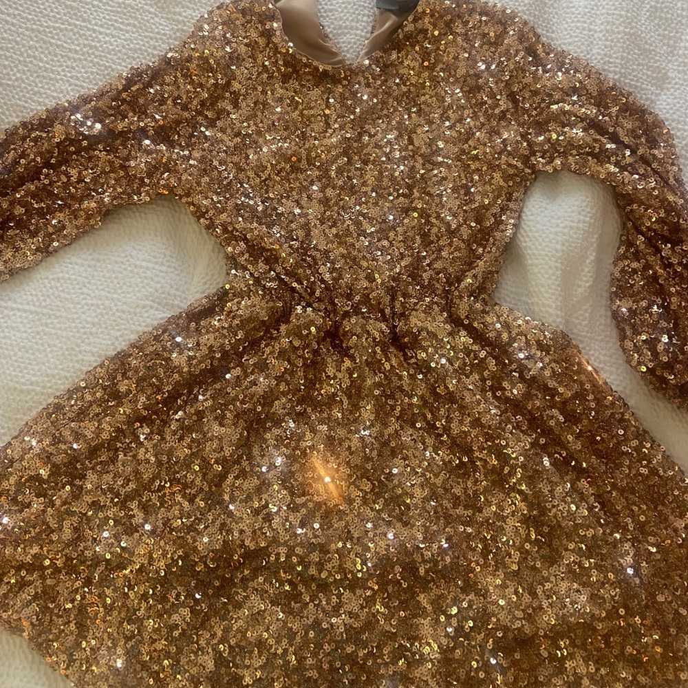 Anthropologie Sequin Dress
